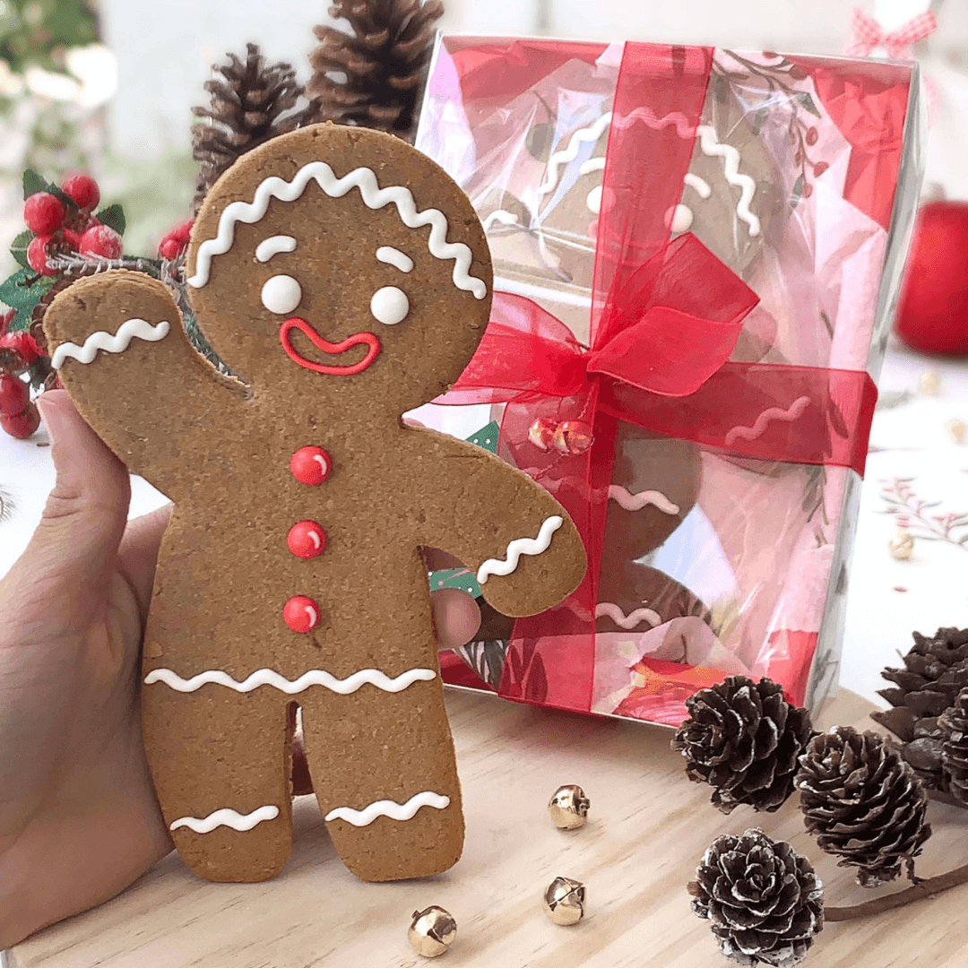 Cortador De Biscoito Boneco Gingerbread 16 Cm REF501 RR Cortadores