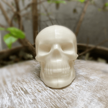 Forma Prática com Silicone Halloween Crânio N9997 - Bwb